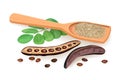 Ripe Carob husk, branch with sweet pods, leaves, powder in wooden spoon. illustration