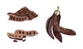 Ripe carob plant sweet pods set. Organic healthy food vector illustration