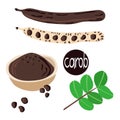 Ripe Carob pods, leaves, seeds and carob powder on the white background. Cartoon flat vector illustration. Superfood healthy food