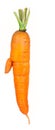 Ripe carrot