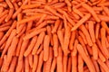 Ripe carrot - food background