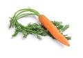 Ripe carrot on white background