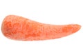 Ripe carrot on white background