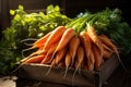 Ripe carrots in a wooden box. Generative AI