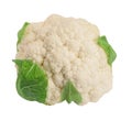 Ripe cauliflower with green leaves isolated on white background, clipping path Royalty Free Stock Photo