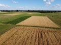 Ripe cereals on a farm field in summer, top view. Clear blue sky over the fields, landscape from a bird`s eye view Royalty Free Stock Photo