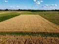 Ripe cereals on a farm field in summer, top view. Clear blue sky over the fields, landscape from a bird\'s eye view Royalty Free Stock Photo