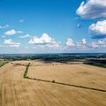 Ripe cereals on a farm field in summer, top view. Clear blue sky over the fields, landscape from a bird\'s eye view Royalty Free Stock Photo