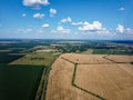 Ripe cereals on a farm field in summer, top view. Clear blue sky over the fields, landscape from a bird\'s eye view Royalty Free Stock Photo