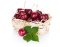 Ripe cherries basket Royalty Free Stock Photo