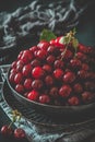 Ripe cherries in a black bowl on black background Royalty Free Stock Photo