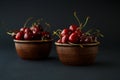 Ripe cherries in a clay bowl on black background Royalty Free Stock Photo