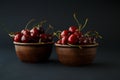 Ripe cherries in a clay bowl on black background Royalty Free Stock Photo