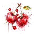 ripe cherries comes to life in this vibrant watercolor