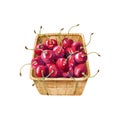 Ripe cherries in eco package