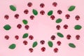 Ripe cherries and green leaves arranged in a circle on a pink background. Concept of berries season and proper nutrition