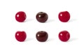 Ripe cherries isolated on white background. Fresh berries set Royalty Free Stock Photo