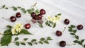 Ripe cherries in miniature toy, trolley closeup, panoram background, organic berry, flowers, leaves. Concept of healthy Royalty Free Stock Photo