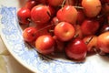 Ripe cherries on a nice plate