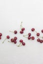 Ripe cherries scattered on a white background