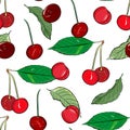 Ripe cherries seamless pattern. Summer berry background Royalty Free Stock Photo