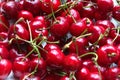 Ripe cherries on the table