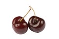 Ripe cherry Royalty Free Stock Photo