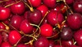 Ripe cherry.Background of juicy cherries. Royalty Free Stock Photo