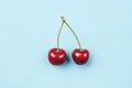 Ripe cherry berries on a blue background. Royalty Free Stock Photo