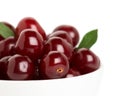 Ripe cherry closeup