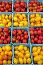 Ripe, cherry and grape tomatoes