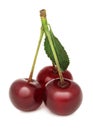 Ripe cherry with green leaf (isolated)