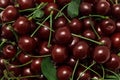 Ripe cherry with green leaves. Background