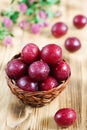 Ripe cherry plum Royalty Free Stock Photo