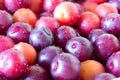 Ripe cherry plum background. Top angle view. Close up. Selective focus. Full frame. Royalty Free Stock Photo