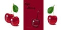 Ripe cherry. Set of vector illustration of cherries.