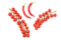 Ripe cherry tomatoes and chili peppers isolated on white. Collage Royalty Free Stock Photo