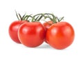 Ripe cherry tomatoes on green branch isolated over white background Royalty Free Stock Photo