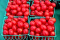 Ripe cherry tomatoes