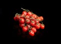 Ripe cherry tomatoes on stems, branches. Group of small red tomatoes on green twigs, on black background.