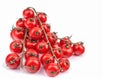 Ripe cherry tomatoes on a vine, three bunches on a white isolated background, space for text Royalty Free Stock Photo