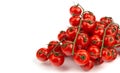 Ripe cherry tomatoes on a vine, three bunches on a white isolated background, space for text, Royalty Free Stock Photo