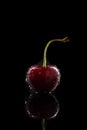 Ripe cherry with water drops on black Royalty Free Stock Photo