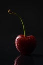 Ripe cherry with water drops on black Royalty Free Stock Photo