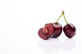 Ripe cherry with water drops on white Royalty Free Stock Photo