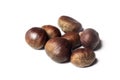 Ripe chestnuts close up. Raw Chestnuts for Christmas. Fresh sweet chestnut. Castanea sativa top wiew. Food background Royalty Free Stock Photo