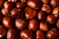 Ripe chestnuts close up. Raw Chestnuts for Christmas. Fresh sweet chestnut. Food background Royalty Free Stock Photo