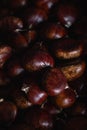 Ripe chestnuts close up. Raw chestnuts. Fresh sweet chestnut. Winter or Christmas background Royalty Free Stock Photo