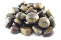 Ripe chestnuts close up. Raw Chestnuts. Fresh sweet chestnuts. Royalty Free Stock Photo