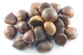 Ripe chestnuts close up. Raw Chestnuts. Fresh sweet chestnuts. Royalty Free Stock Photo
